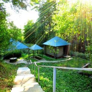 ������������������� ������ �������� � �. ��������